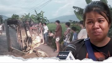 Saro, gadan, saro irido kan mabunggo nin traysikel sa Ligao City