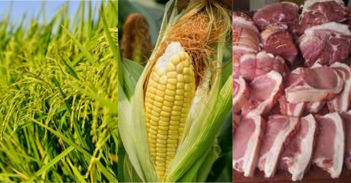 Mababang import rates sa palay, mais, at karneng baboy, pinalawig ni PBBM hanggang December 2024