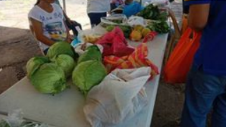 ‘Agraryo sa Merkado sa Kampo’ ng DAR at PNP Bicol, muling umarangkada