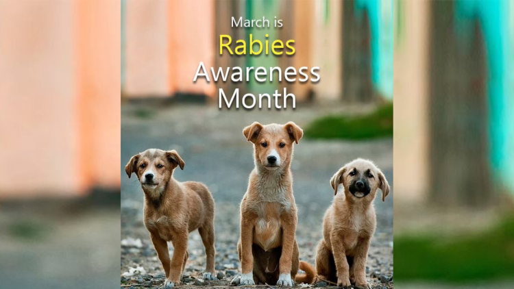 ‘Rabies: One Health, Zero Death’ Townhall meeting, isasagawa ng DOH Bicol para sa pagpapaigting ng Rabies Program ngayong Rabies Awareness Month