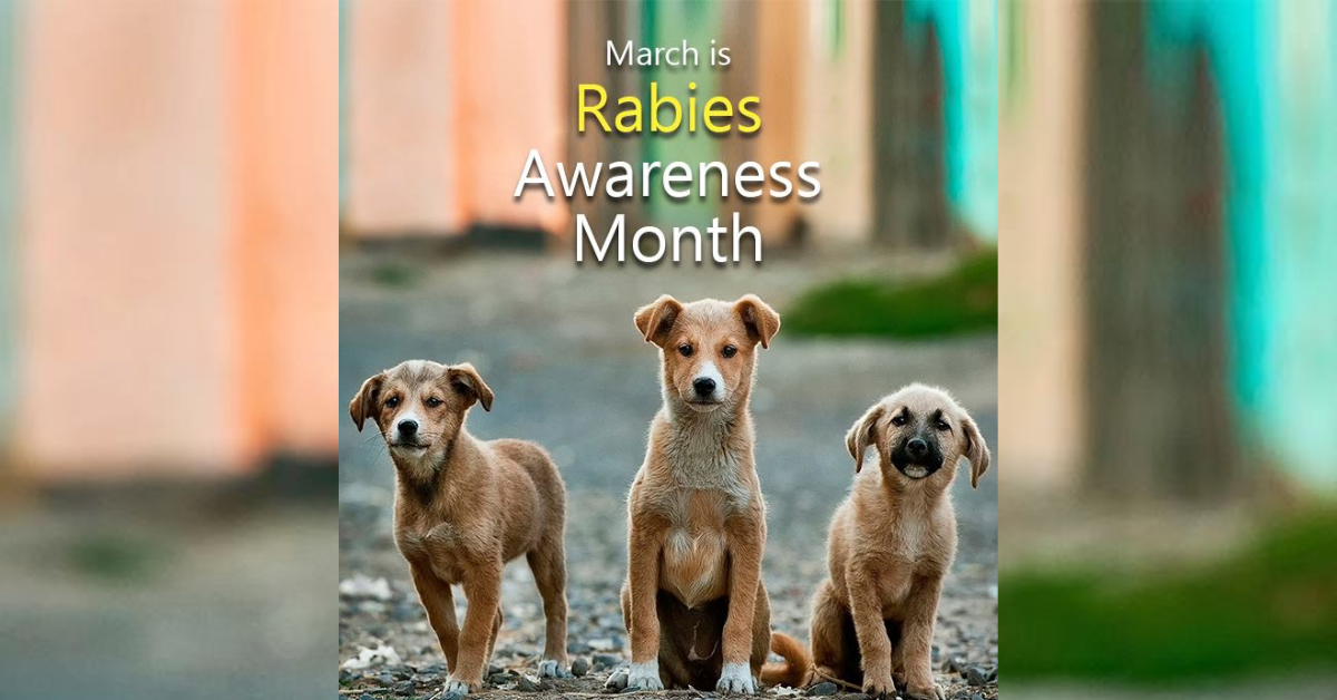 'Rabies: One Health, Zero Death' Townhall meeting, isasagawa ng DOH Bicol para sa pagpapaigting ng Rabies Program ngayong Rabies Awareness Month