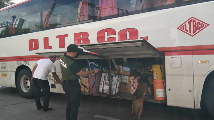 Pagbabantay ng PDEA sa bawat border sa Bicol, mas hihigpitan ngayong Semana Santa