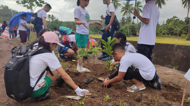 Tree planting at clean-up drive, inilunsad sa Legazpi City