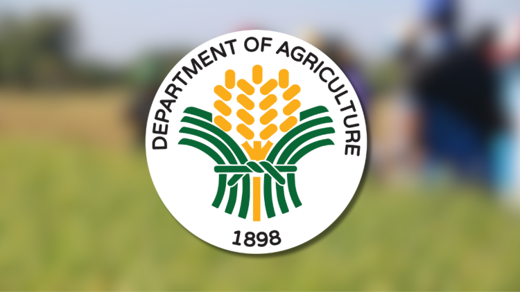 AKO BICOL ONLINE TV LOGO WATERMARK (11)