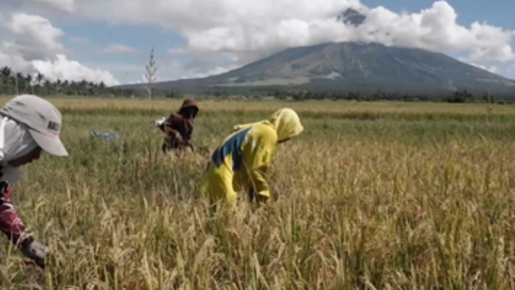 AKO BICOL ONLINE TV LOGO WATERMARK