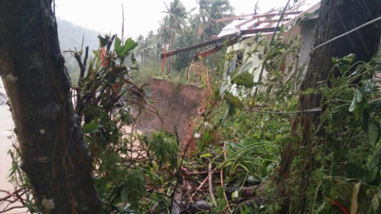 AKB NEWS THUMBNAIL (15)