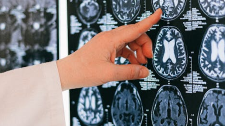 AKB NEWS THUMBNAIL (10)