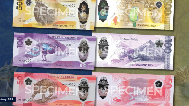 AKB NEWS THUMBNAIL (9)